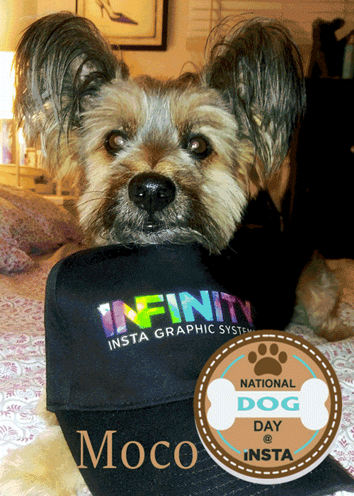 infinity dog with hat Heat Press Machine - Insta Graphic Systems